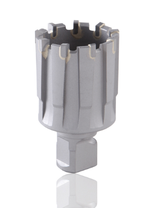 TCT RAIL CUTTER WITH SLUG SHANK